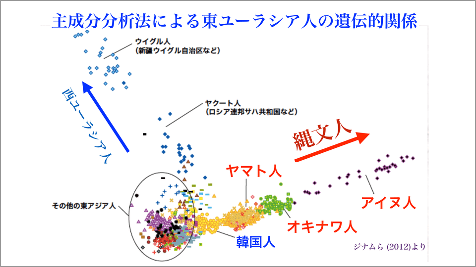 主成分分析法による東ユーラシア人の遺伝的関係